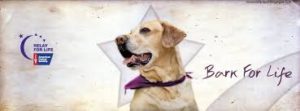 BarkForLife-RelayForLife-CardioFlexTherapy