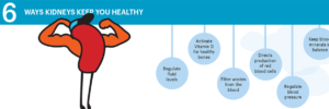 CardioFlex Therapy is proud to support The National Kidney Foundation's community-based initiative to educate about the kidneys